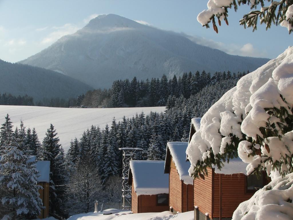 Holiday Park Orava Apartments Dolny Kubin Zewnętrze zdjęcie